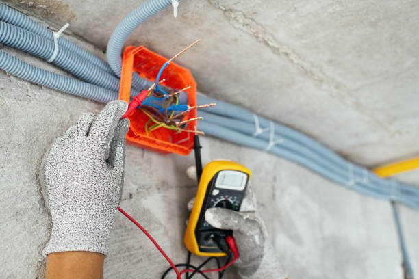 Best Electric Panel Repair  in Lithonia, GA